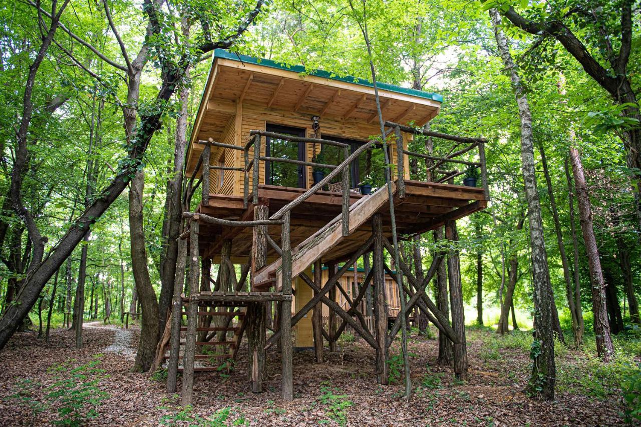 Living Forest Resort Moravske Toplice Extérieur photo