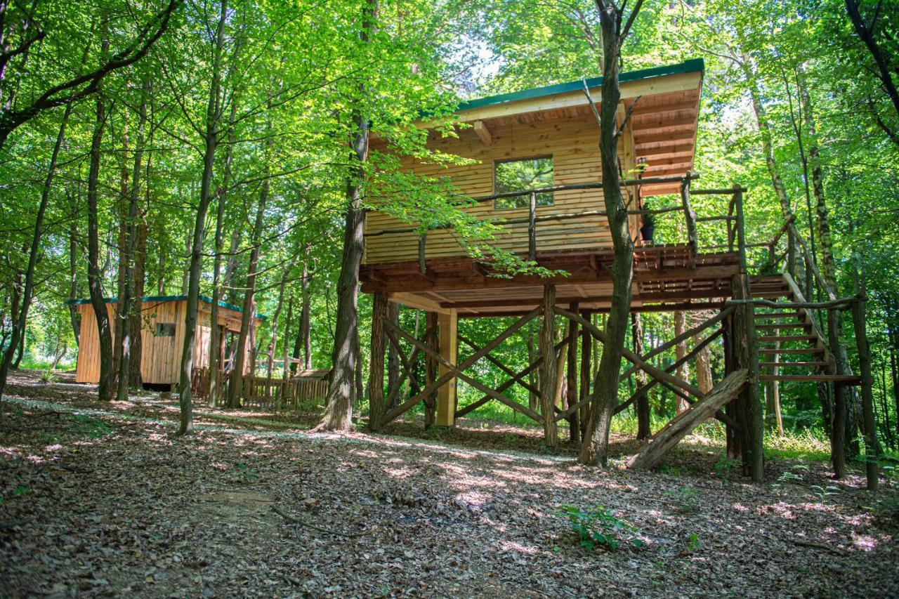 Living Forest Resort Moravske Toplice Extérieur photo