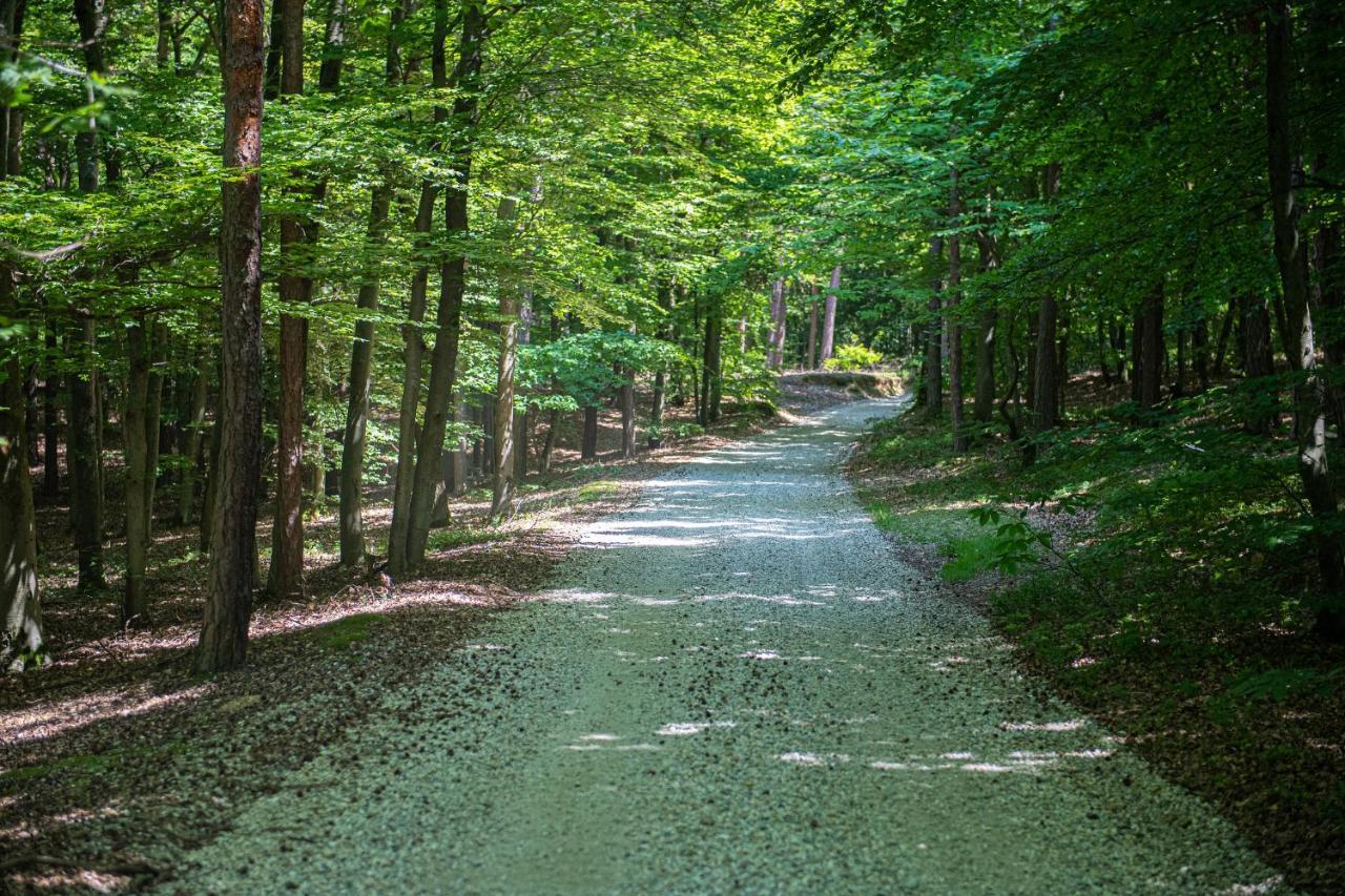 Living Forest Resort Moravske Toplice Extérieur photo