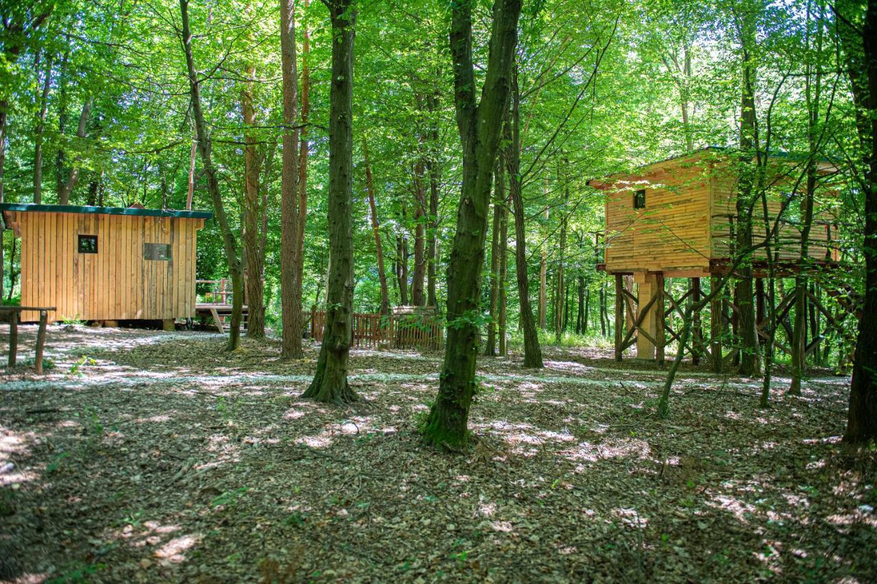 Living Forest Resort Moravske Toplice Extérieur photo